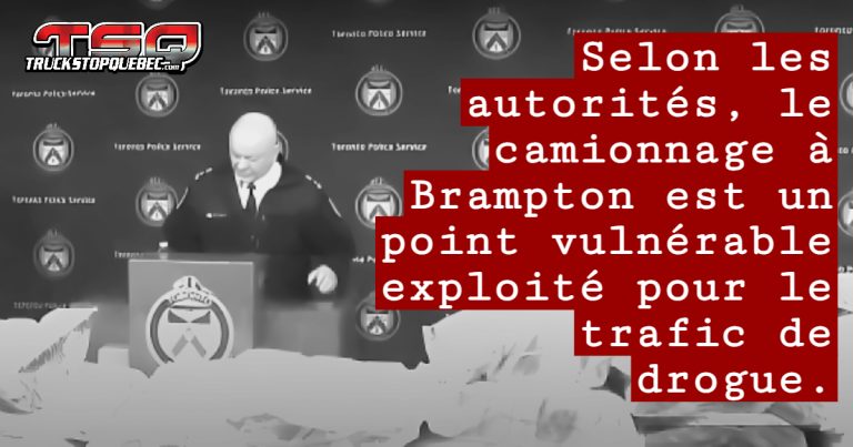 Camionnage, exploitation et drogue : Saisie de drogue record
