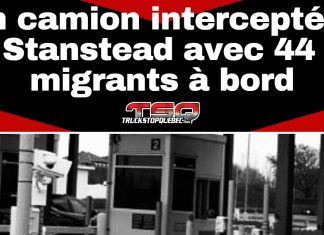 Un camion intercepté à Stanstead avec 44 migrants à bord, une interception sans précédent pour l’ASFC Image montrant une barrière de poste frontalier canadien, en noir et blanc, surmontée d’un bandeau avec le titre “Un camion intercepté à Stanstead avec 44 migrants à bord” et le logo de Truck Stop Québec.