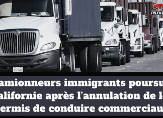 Des camionneurs immigrants poursuivent la Californie après l’annulation massive de permis commerciaux Alignement de camions lourds stationnés sur une route en Californie, illustrant la poursuite intentée par des camionneurs immigrants après l’annulation de milliers de permis de conduire commerciaux par l’État.