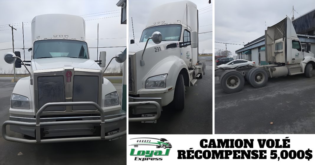 Camion volé – récompense 5 000 $. Montage de trois photos montrant le tracteur blanc du Groupe Loyal Express : à gauche, vue avant d’un Kenworth blanc avec pare-chocs renforcé; au centre, vue avant latérale du même camion avec le numéro d’unité 231; à droite, vue arrière du tracteur stationné près d’un bâtiment industriel. Le texte “CAMION VOLÉ – RÉCOMPENSE 5 000 $” apparaît en bas du montage avec le logo du Groupe Loyal Express.