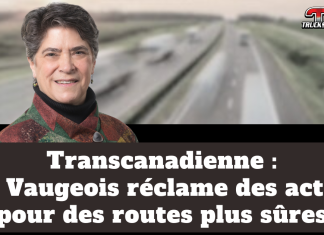 Transcanadienne : Lise Vaugeois réclame des actions concrètes sur les routes 11 et 17 Transcanadienne : Lise Vaugeois réclame des actions pour des routes plus sûres (image : routes et photo de Mme. Lise Vaugeois).