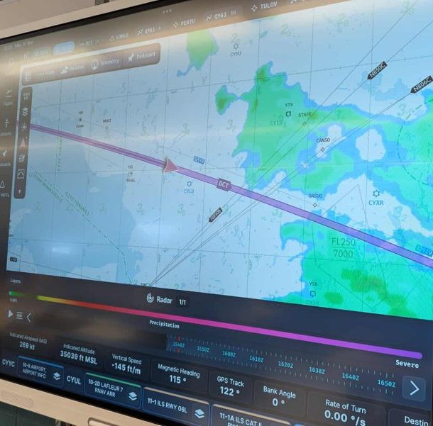 Écran - Simulation de vol en temps réel.