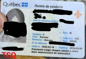 Photo du permis de conduire de M. Singh, qui était au volant d'un camion lourd avec un permis de classe 5.