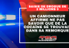 Un camionneur affirme ne pas savoir que de la cocaïne se trouvait dans sa remorque Visuel de Truck Stop Québec sur une saisie de drogue de 2 millions $, avec des gyrophares en arrière-plan et un texte indiquant qu’un camionneur affirme ne pas savoir que de la cocaïne se trouvait dans sa remorque.
