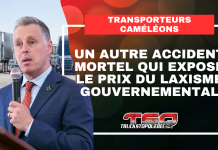 Transporteurs caméléons : le drame de Brandon expose le prix du laxisme gouvernemental Visuel de Truck Stop Québec montrant Peter Schiefke devant des camions, avec le texte « Transporteurs caméléons – Un autre accident mortel qui expose le prix du laxisme gouvernemental ». Le graphique accompagne un article sur l’accident mortel de Brandon, les transporteurs caméléons et les enjeux soulevés devant le Comité permanent des transports.
