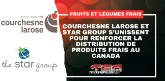 Courchesne Larose et Star Group s’unissent pour renforcer la distribution de produits frais au Canada Logos de Courchesne Larose et Star Group, partenaires pour renforcer la chaîne d’approvisionnement canadienne en fruits et légumes.