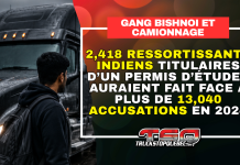 Le gang Bishnoi aurait des liens avec le camionnage canadien, selon l’ASFC Étudiant vu de dos devant un camion, avec le texte : 2 418 ressortissants indiens titulaires d’un permis d’études auraient fait face à plus de 13 040 accusations en 2024. Gang Bishnoi et camionnage.